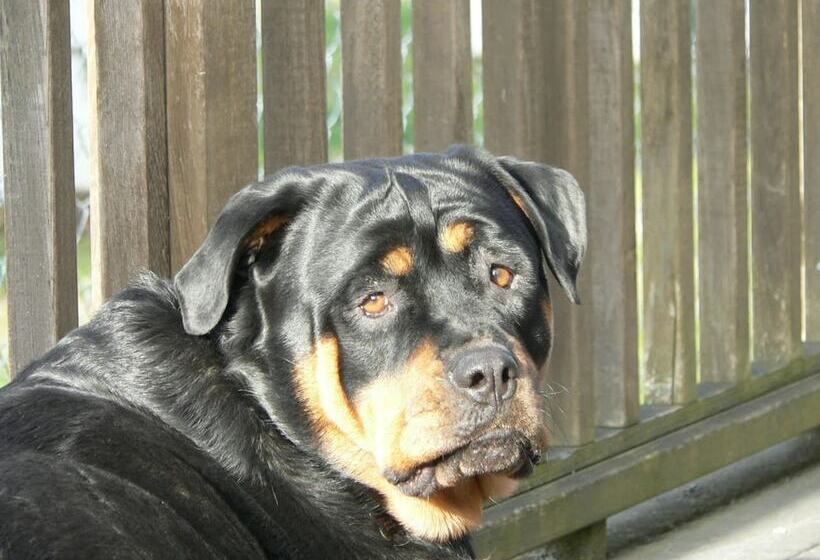 ホテル Heartland Inn And Suites