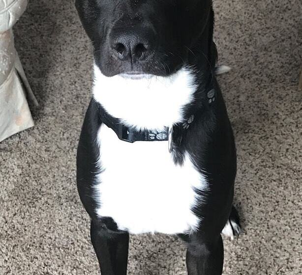 ホテル Heartland Inn And Suites