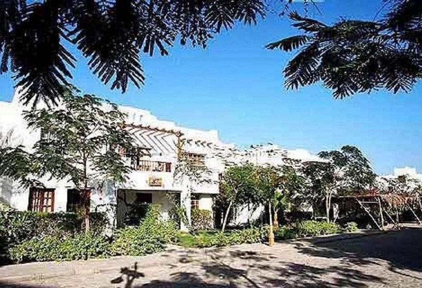 Sharm Holidays Real Estate