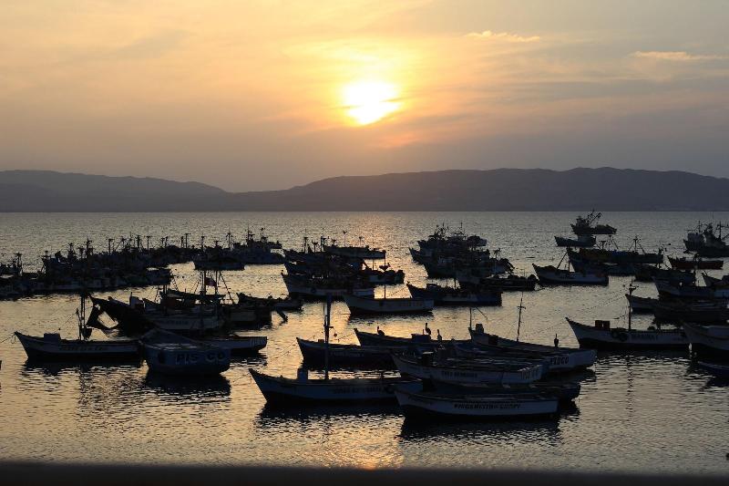 فندق Bamboo Lodge Paracas