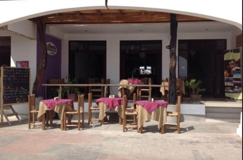 فندق Bamboo Lodge Paracas