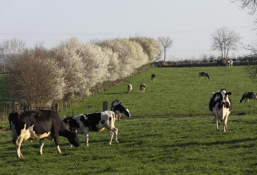 فندق Chateau De Vouilly
