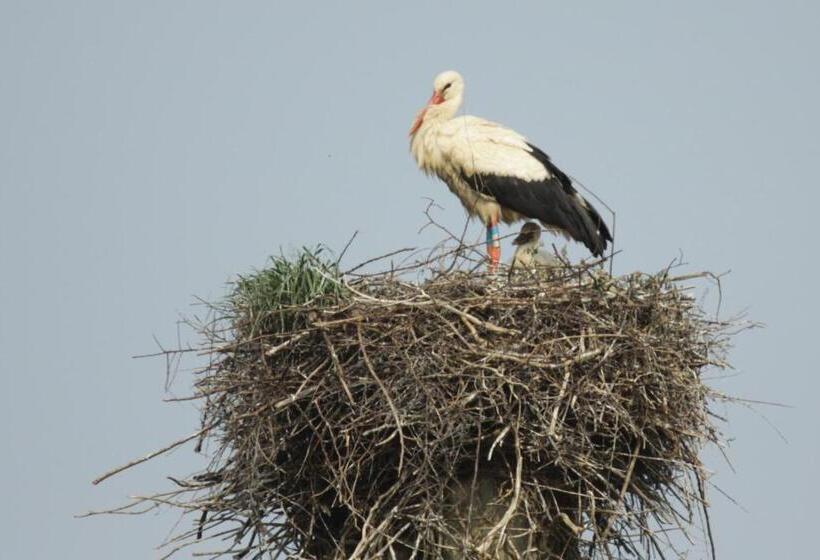 فندق Chateau De Vouilly