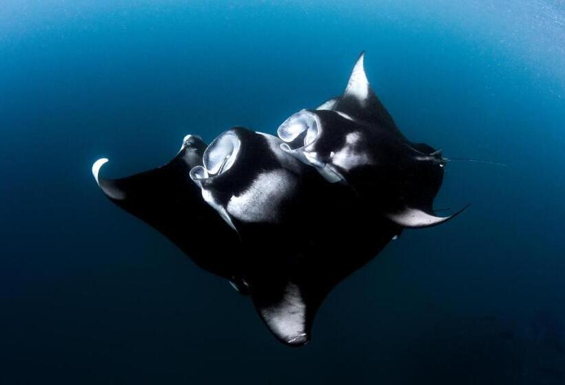 Finolhu Baa Atoll Maldives, A Member Of Design Hotels