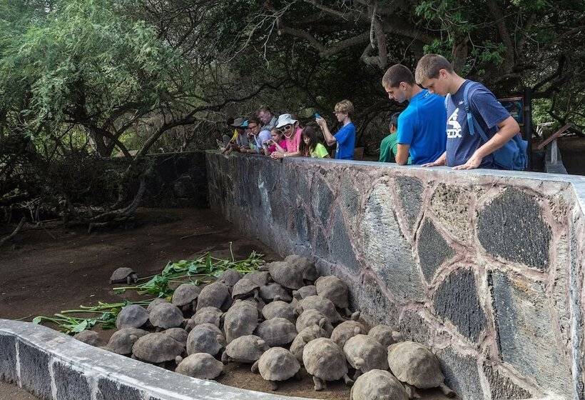 ホテル Iguana Crossing Boutique