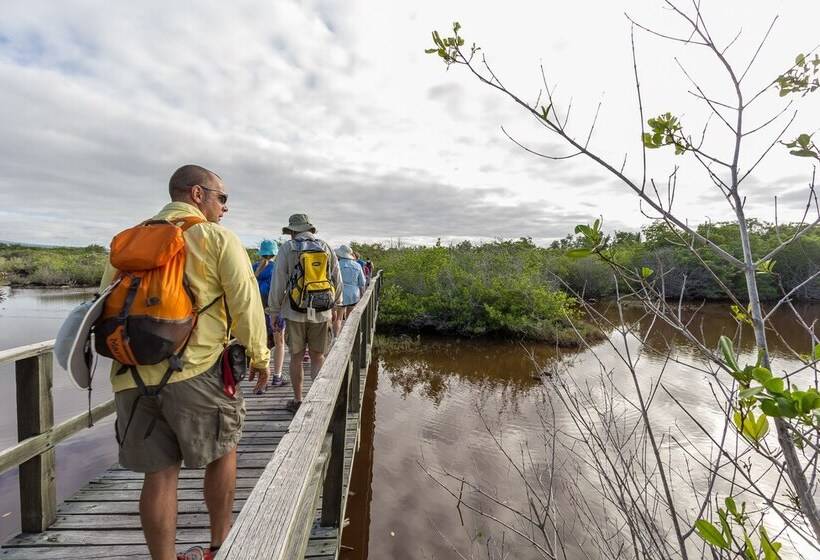 ホテル Iguana Crossing Boutique