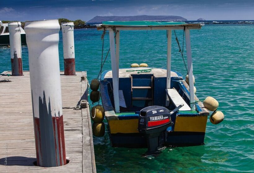 ホテル Iguana Crossing Boutique