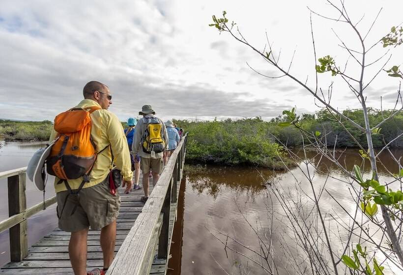 ホテル Iguana Crossing Boutique