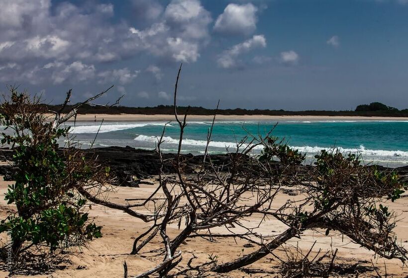 ホテル Iguana Crossing Boutique