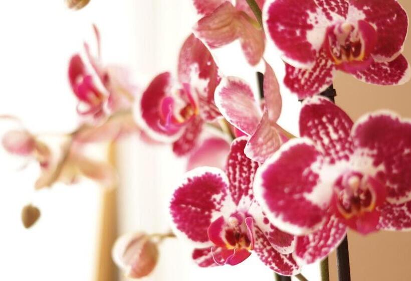 Hotel Logis Hôtel Du Commerce