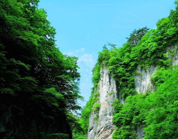 בית מלון כפרי Musashibou