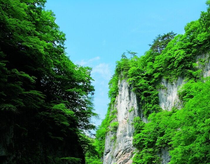 בית מלון כפרי Musashibou