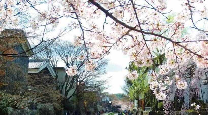 בית מלון כפרי New Omi