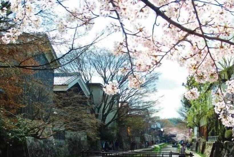 בית מלון כפרי New Omi