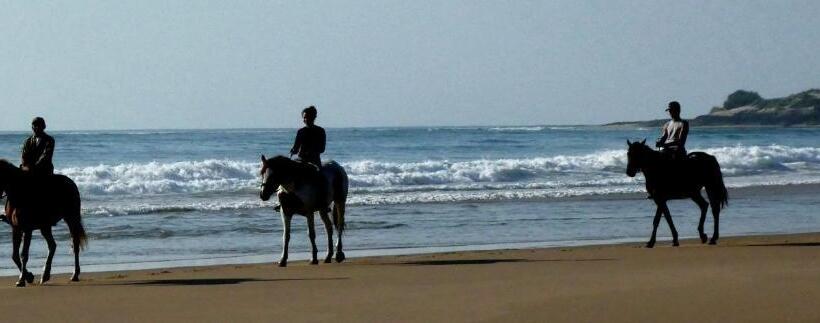 Pariango Beach Motel