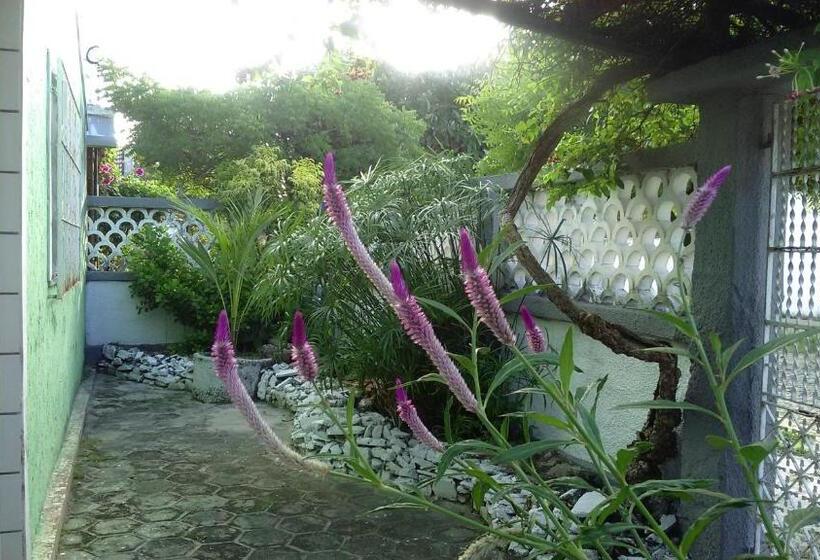 Praieiro Hostel Albergue