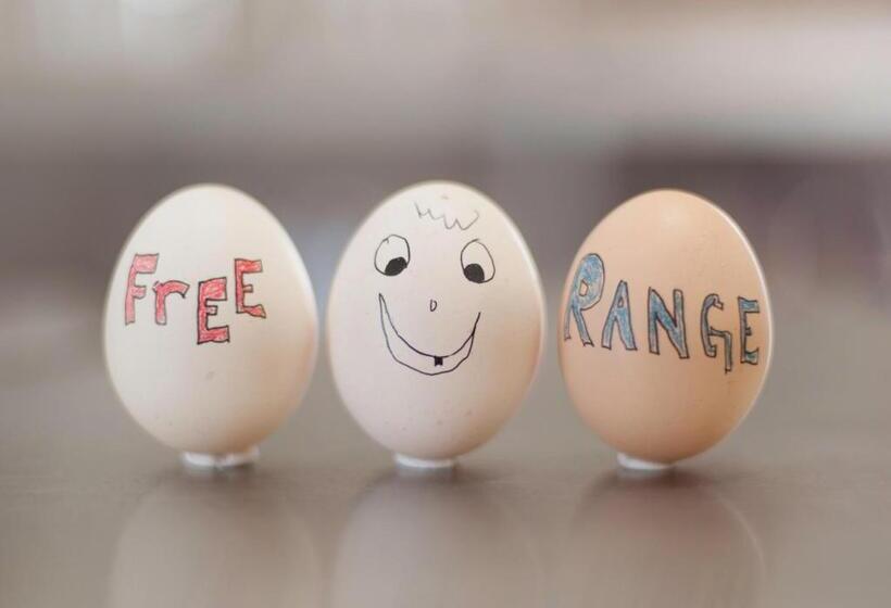 تختخواب و صبحانه Evening Shade