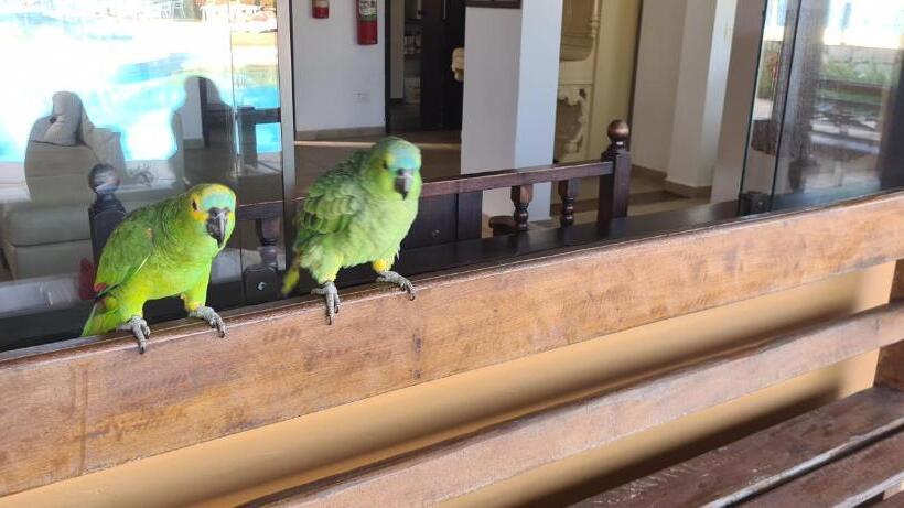 簡易ホテル Pousada Casa Amarela