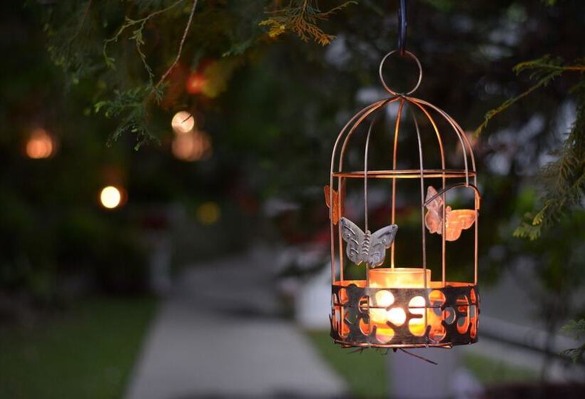 Отель Biazi Paradise