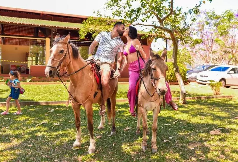 ホテル Fazenda Bonjuá