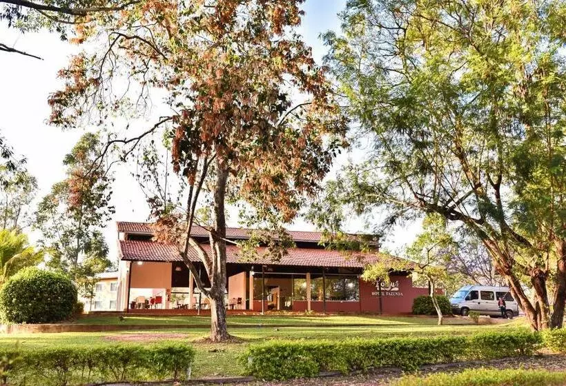ホテル Fazenda Bonjuá