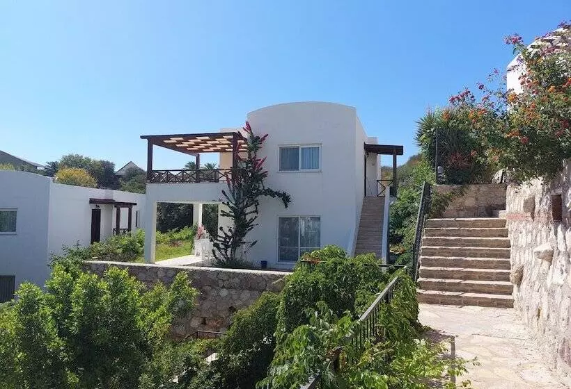 Ibak Sunny Houses