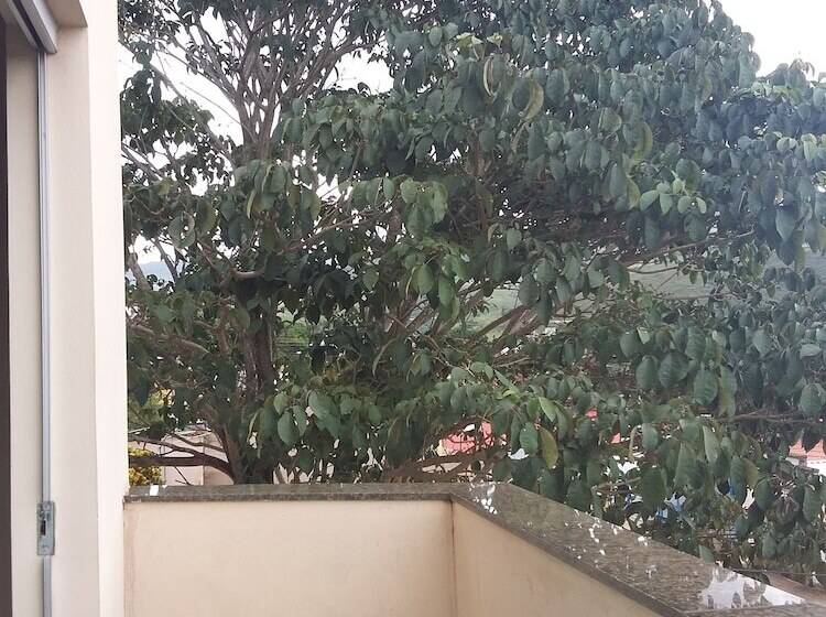 مبيت وإفطار Canastra Season