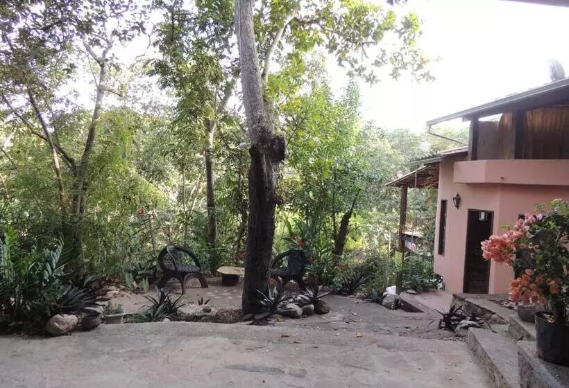 Aamiaismajoitus (B&B) Canto Verde Pousada