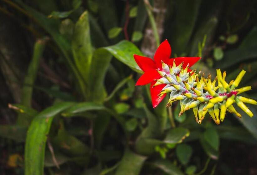 Nocleg ze śniadaniem Pousada Além Do Jardim