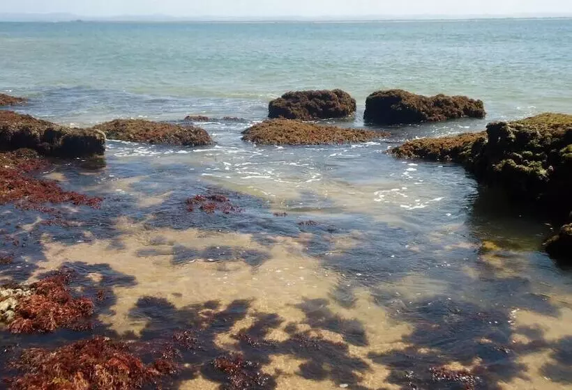 هتل Nirvana Beach