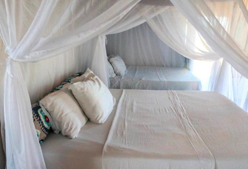 ホテル Pousada Da Barra