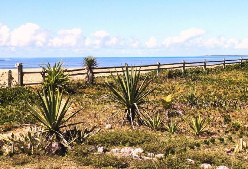 ホテル Pousada Da Barra