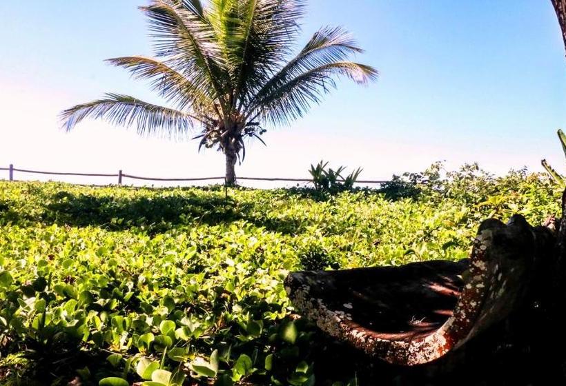 ホテル Pousada Da Barra