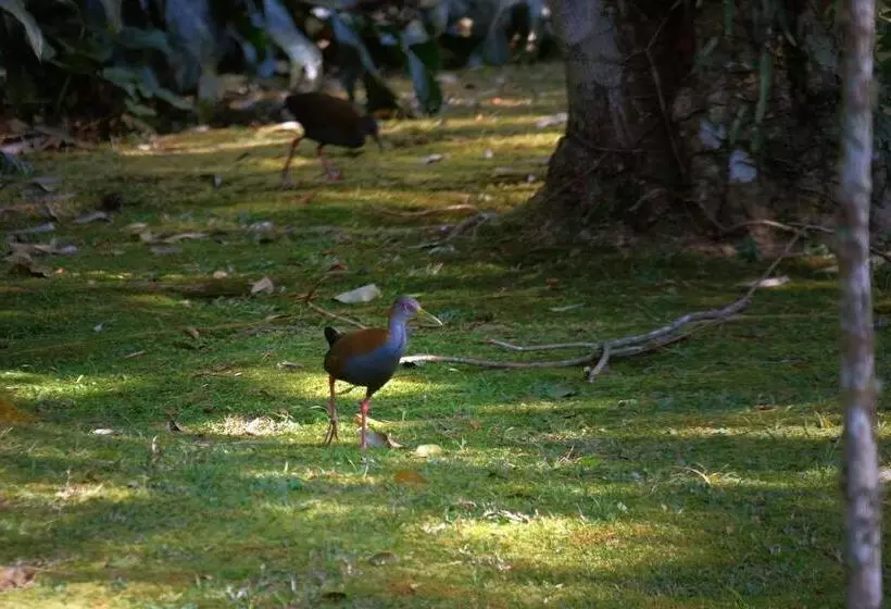 ホテル Refazenda