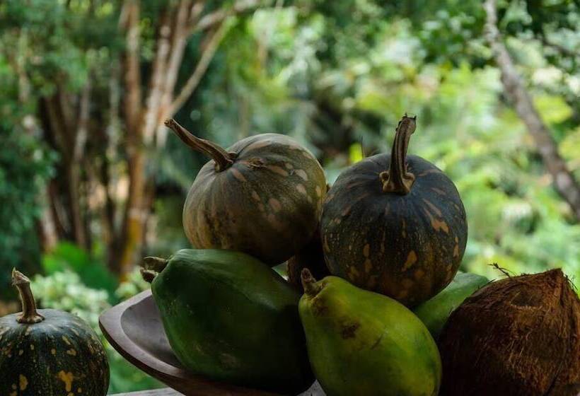 ホテル Trancoso Residence