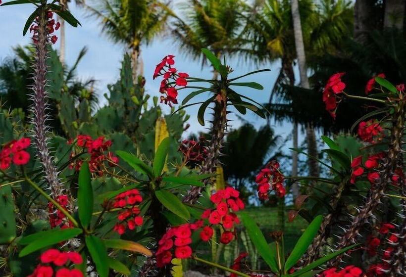 ホテル Trancoso Residence