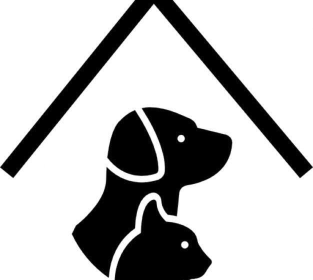 Отель Recreio São Jorge