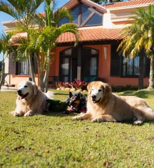 ホテル Villa Rossa