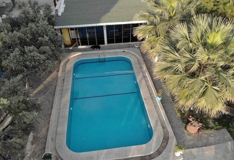 בית מלון כפרי Villa Panorama