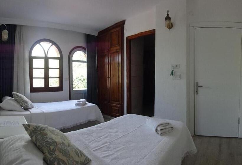 בית מלון כפרי Villa Panorama