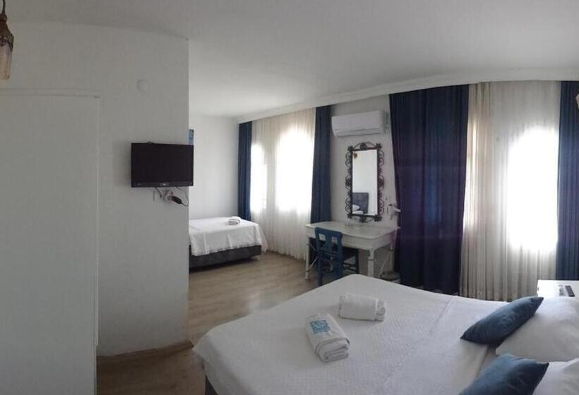 בית מלון כפרי Villa Panorama