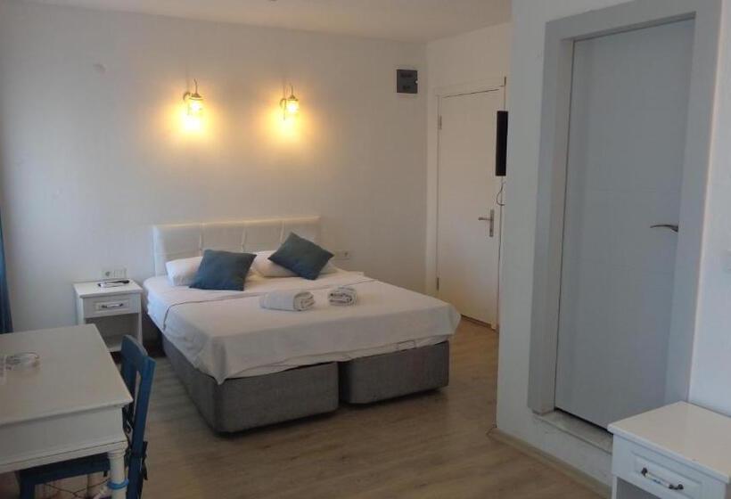 בית מלון כפרי Villa Panorama