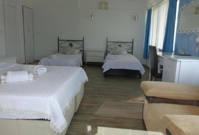 בית מלון כפרי Villa Panorama