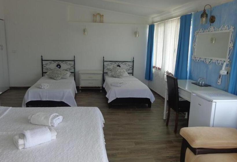 בית מלון כפרי Villa Panorama