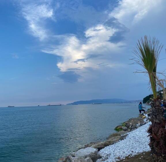 Motel No Problem Pansiyon & Alkaya