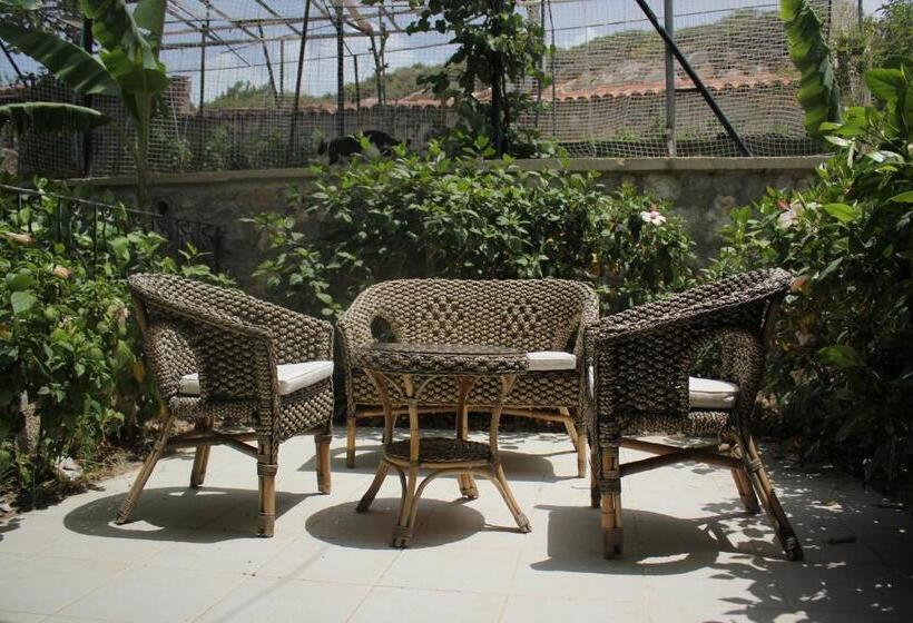 Bed and Breakfast Dolina Boutique