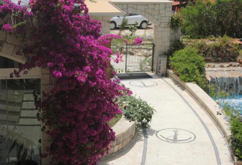 Bed and Breakfast Dolina Boutique