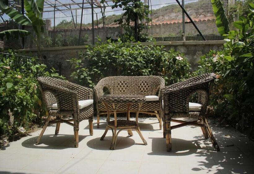 Bed and Breakfast Dolina Boutique