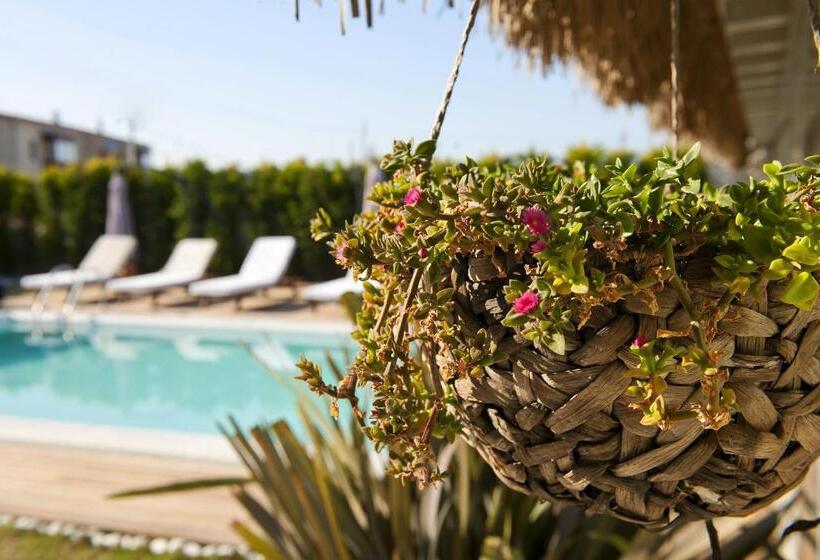 Bed and Breakfast Sade Alacati