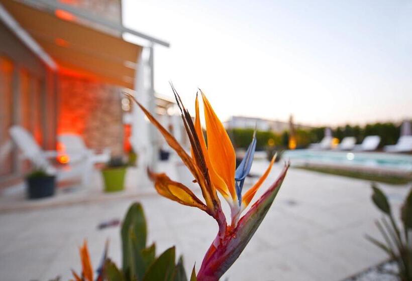 Bed and Breakfast Sade Alacati